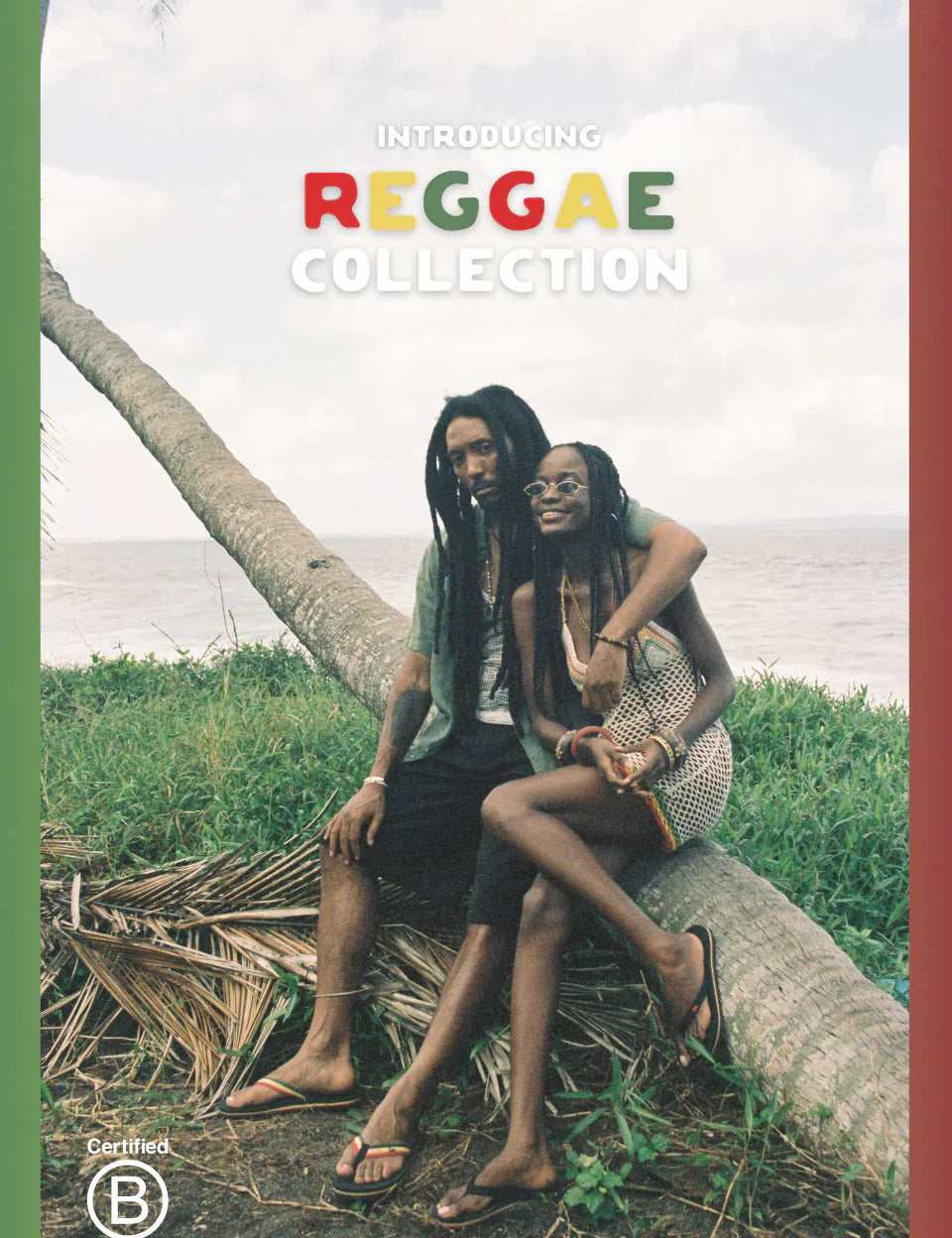 Rooted in Rhythm: The Story Behind the Reggae Collection